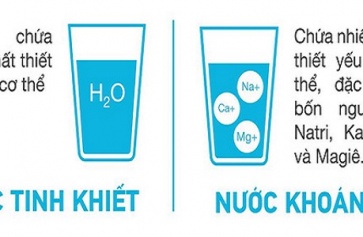 Nước Khoáng Và Nước Tinh Khiết Loại Nước Nào Sử Dụng Tốt Sức Khỏe